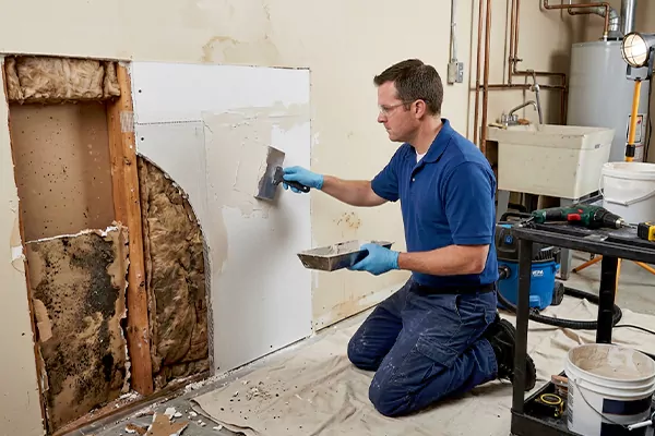 Mold and Drywall Repair Bonney Lake