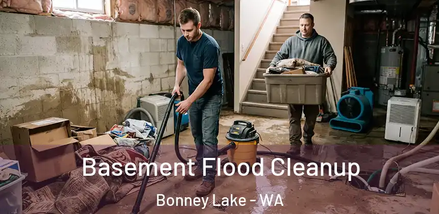  Basement Flood Cleanup Bonney Lake - WA