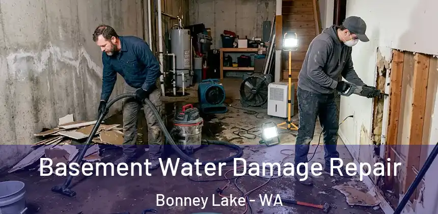  Basement Water Damage Repair Bonney Lake - WA