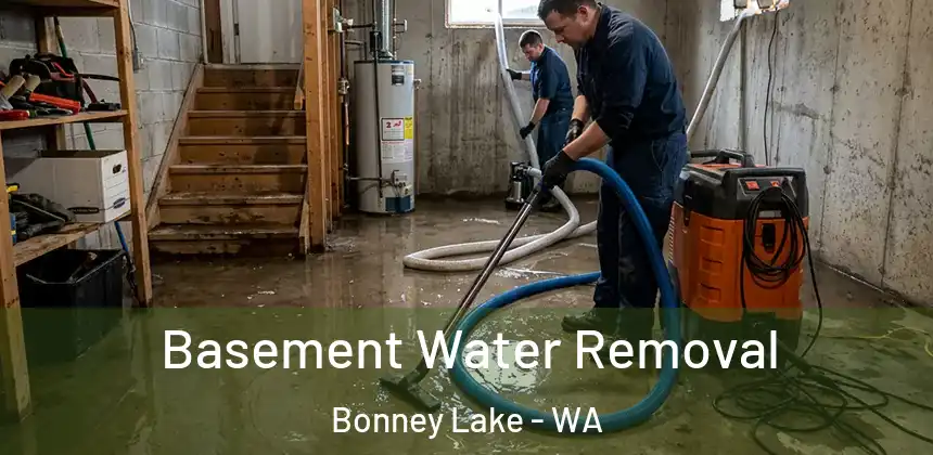 Basement Water Removal Bonney Lake - WA