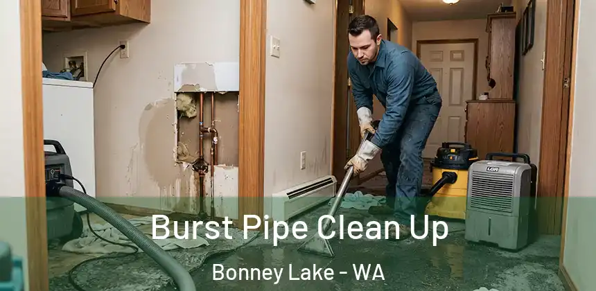 Burst Pipe Clean Up Bonney Lake - WA