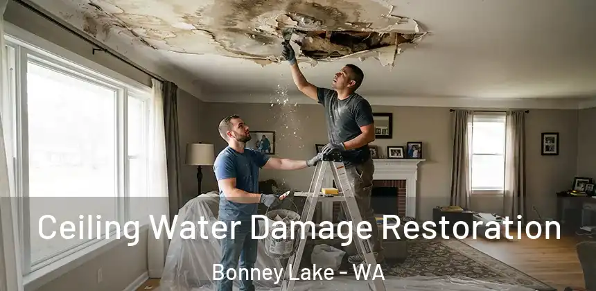 Ceiling Water Damage Restoration Bonney Lake - WA