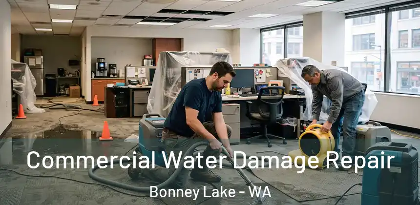  Commercial Water Damage Repair Bonney Lake - WA