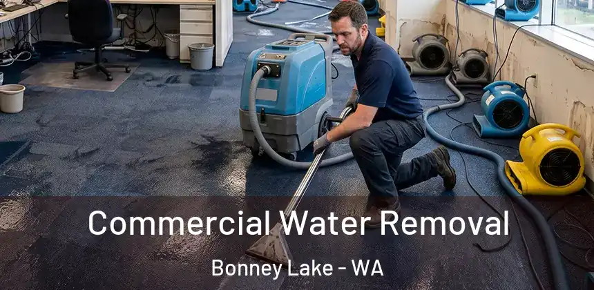 Commercial Water Removal Bonney Lake - WA