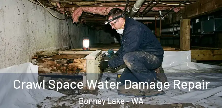  Crawl Space Water Damage Repair Bonney Lake - WA