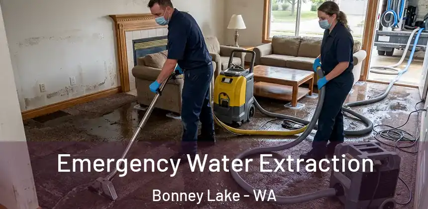  Emergency Water Extraction Bonney Lake - WA