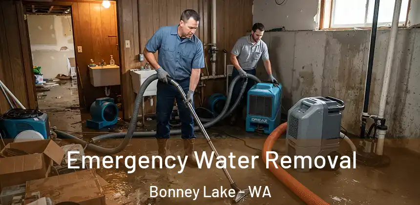 Emergency Water Removal Bonney Lake - WA