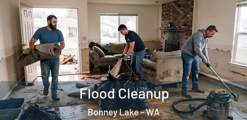  Flood Cleanup Bonney Lake - WA