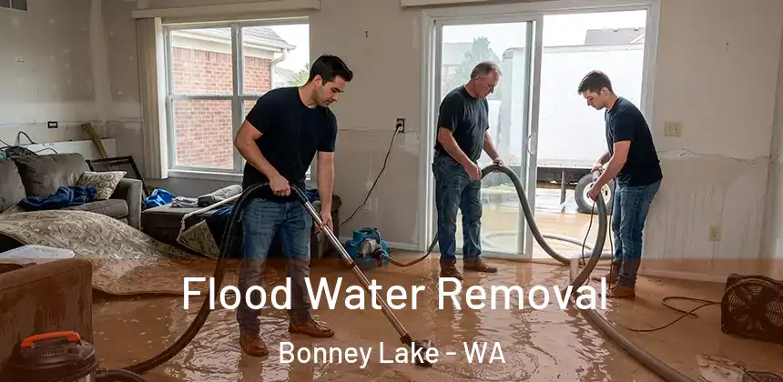 Flood Water Removal Bonney Lake - WA
