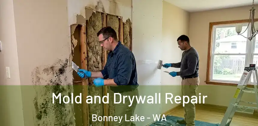  Mold and Drywall Repair Bonney Lake - WA