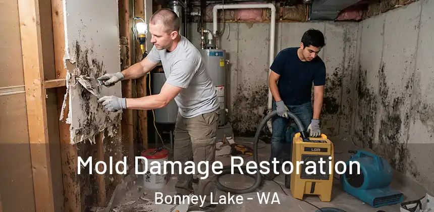 Mold Damage Restoration Bonney Lake - WA
