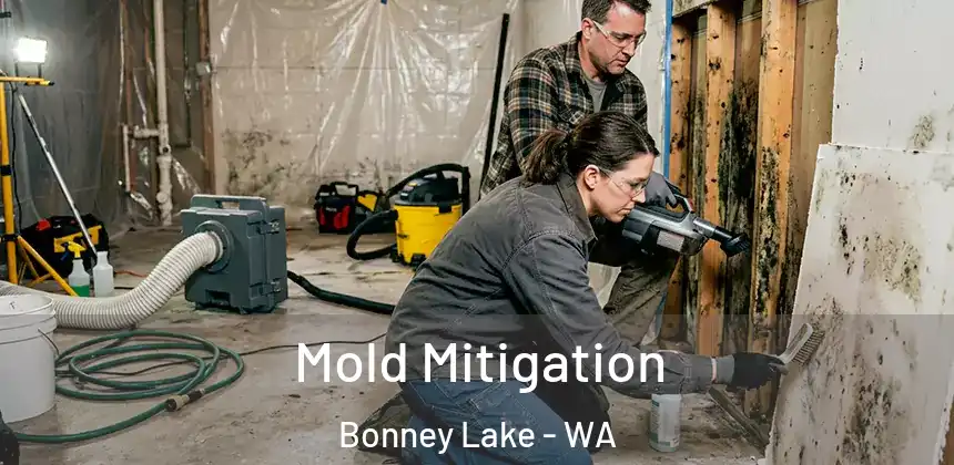  Mold Mitigation Bonney Lake - WA