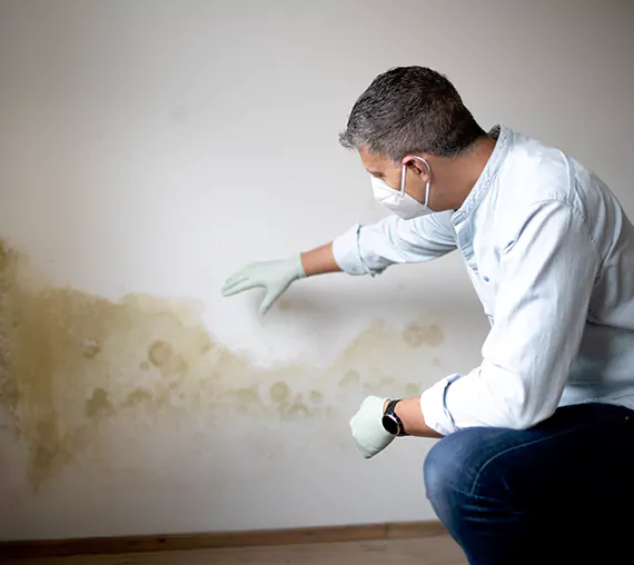 Mold Removal Service in Bonney Lake, WA