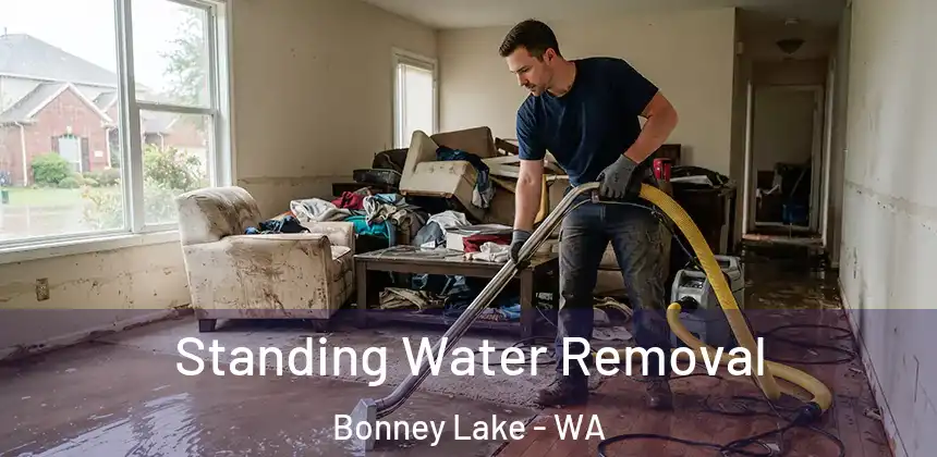 Standing Water Removal Bonney Lake - WA
