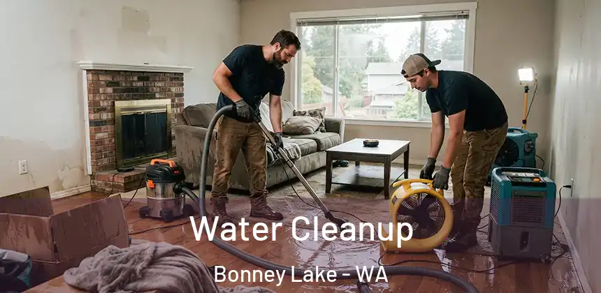  Water Cleanup Bonney Lake - WA