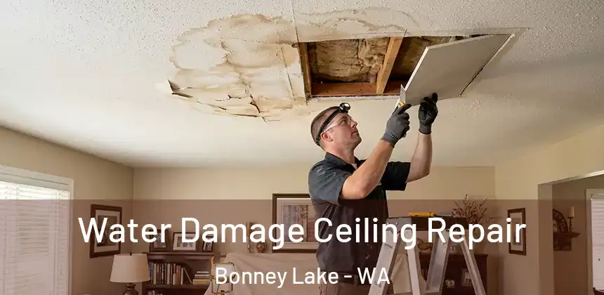 Water Damage Ceiling Repair Bonney Lake - WA