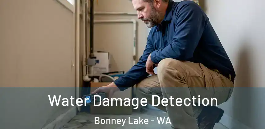  Water Damage Detection Bonney Lake - WA