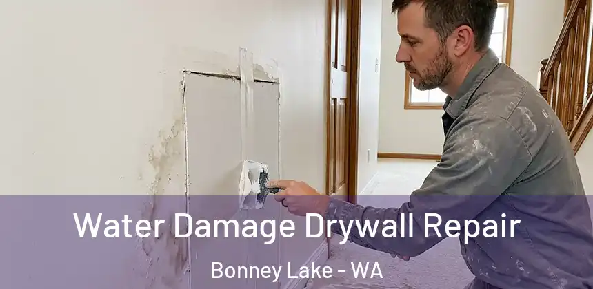  Water Damage Drywall Repair Bonney Lake - WA