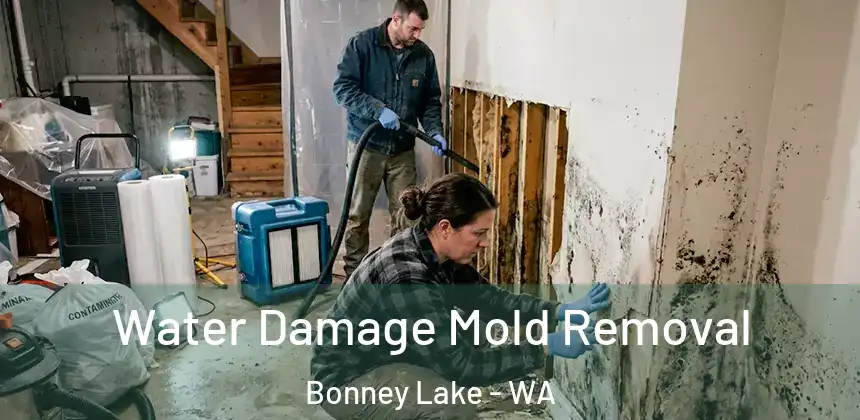  Water Damage Mold Removal Bonney Lake - WA