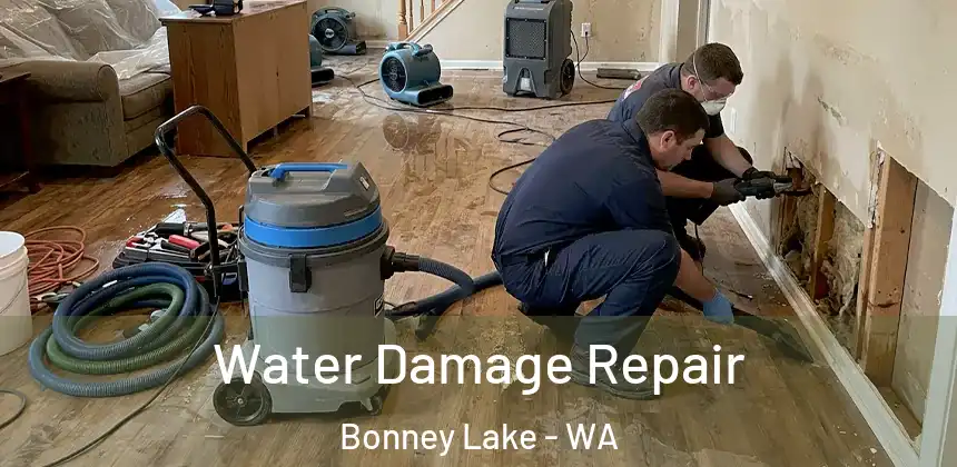 Water Damage Repair Bonney Lake - WA