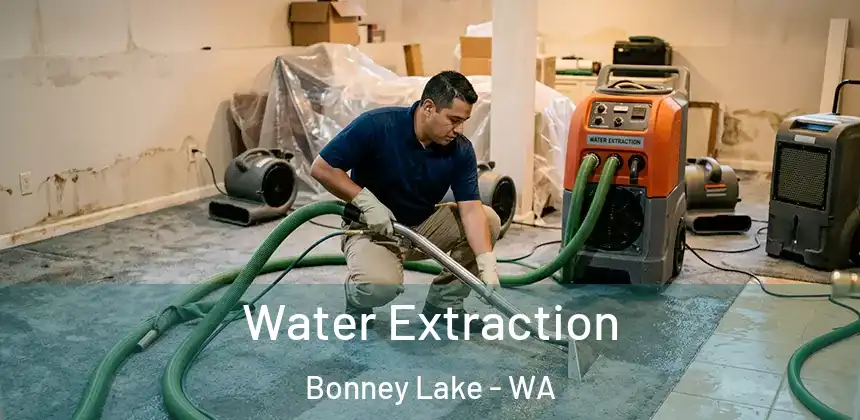  Water Extraction Bonney Lake - WA