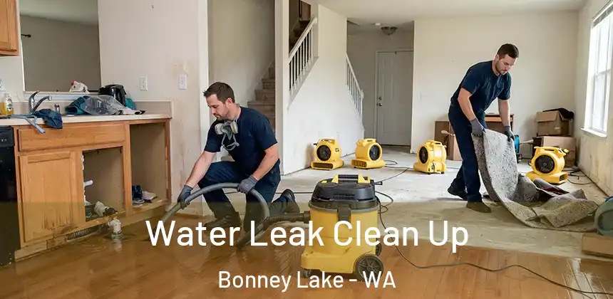 Water Leak Clean Up Bonney Lake - WA