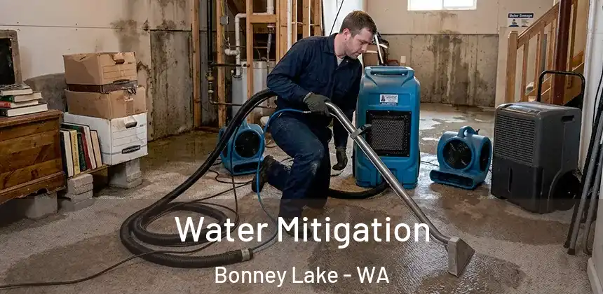  Water Mitigation Bonney Lake - WA