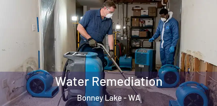 Water Remediation Bonney Lake - WA