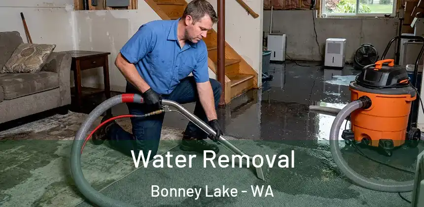  Water Removal Bonney Lake - WA