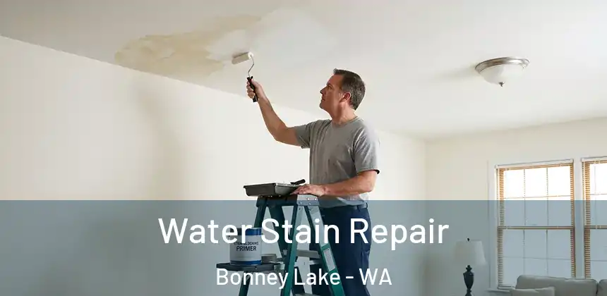  Water Stain Repair Bonney Lake - WA